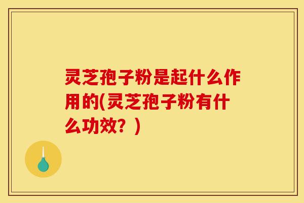 灵芝孢子粉是起什么作用的(灵芝孢子粉有什么功效?)