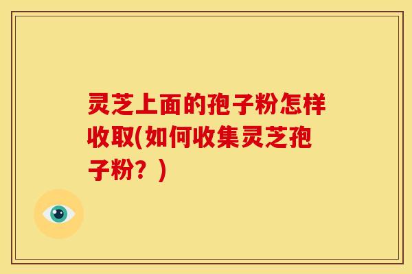 灵芝上面的孢子粉怎样收取(如何收集灵芝孢子粉？)