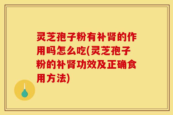 灵芝孢子粉有补肾的作用吗怎么吃(灵芝孢子粉的补肾功效及正确食用方法)