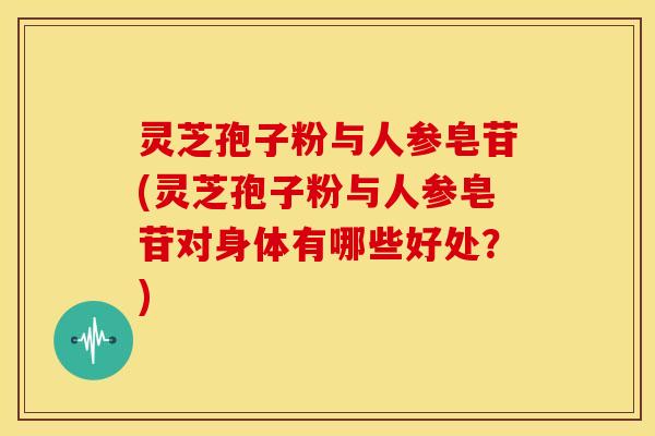 灵芝孢子粉与人参皂苷(灵芝孢子粉与人参皂苷对身体有哪些好处？)