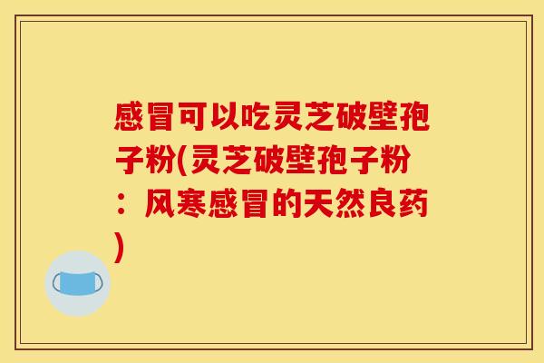 感冒可以吃灵芝破壁孢子粉(灵芝破壁孢子粉:风寒感冒的天然良药)