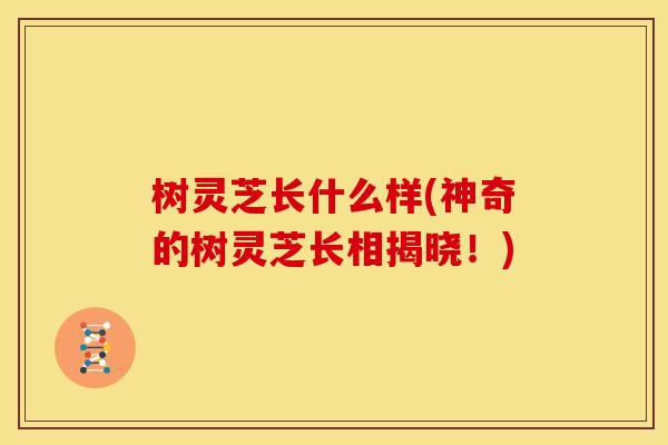 树灵芝长什么样(神奇的树灵芝长相揭晓！)