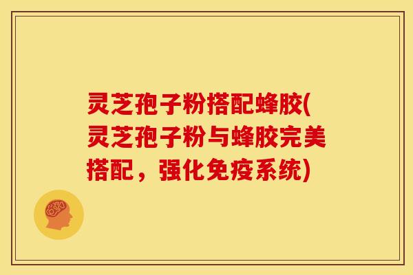 灵芝孢子粉搭配蜂胶(灵芝孢子粉与蜂胶完美搭配,强化免疫系统)
