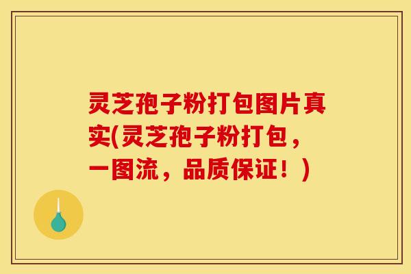 灵芝孢子粉打包图片真实(灵芝孢子粉打包，一图流，品质保证！)