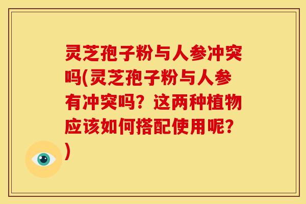 灵芝孢子粉与人参冲突吗(灵芝孢子粉与人参有冲突吗？这两种植物应该如何搭配使用呢？)