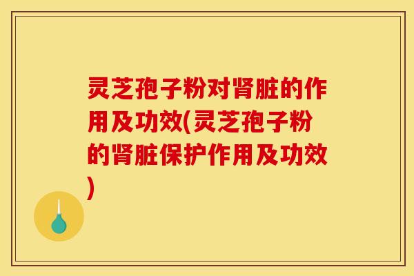 灵芝孢子粉对肾脏的作用及功效(灵芝孢子粉的肾脏保护作用及功效)