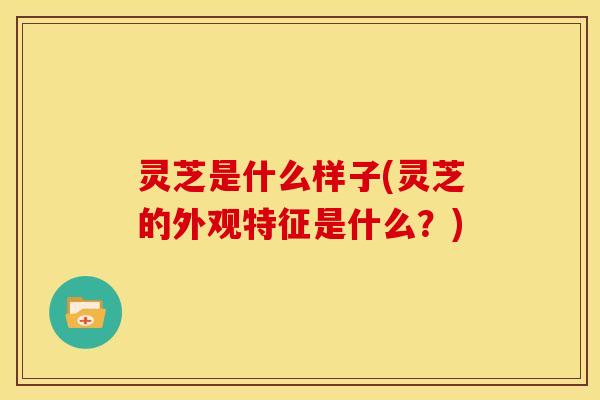灵芝是什么样子(灵芝的外观特征是什么?)