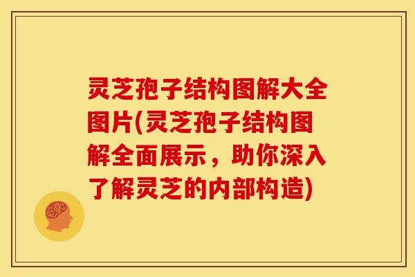 灵芝孢子结构图解大全图片(灵芝孢子结构图解全面展示,助你深入了解灵芝的内部构造)