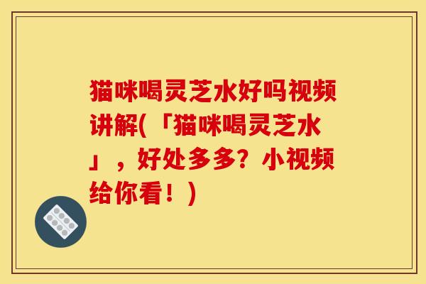 猫咪喝灵芝水好吗视频讲解(「猫咪喝灵芝水」,好处多多?小视频给你看!)