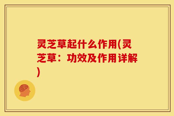 灵芝草起什么作用(灵芝草:功效及作用详解)