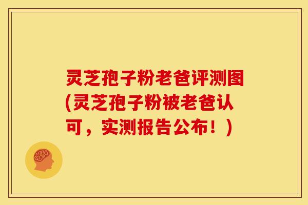 灵芝孢子粉老爸评测图(灵芝孢子粉被老爸认可,实测报告公布!)