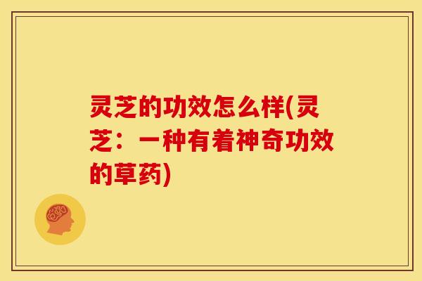 灵芝的功效怎么样(灵芝：一种有着神奇功效的草药)