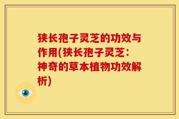 狭长孢子灵芝的功效与作用(狭长孢子灵芝:神奇的草本植物功效解析)