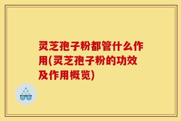 灵芝孢子粉都管什么作用(灵芝孢子粉的功效及作用概览)