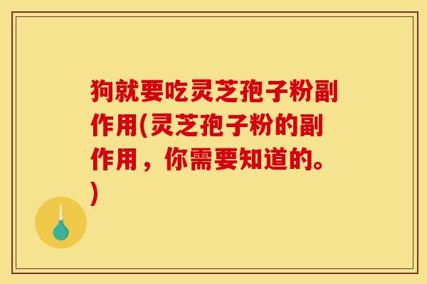 狗就要吃灵芝孢子粉副作用(灵芝孢子粉的副作用,你需要知道的。)
