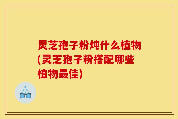 灵芝孢子粉炖什么植物(灵芝孢子粉搭配哪些植物最佳)