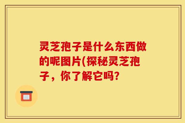 灵芝孢子是什么东西做的呢图片(探秘灵芝孢子,你了解它吗?