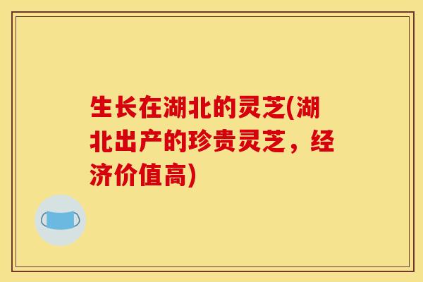 生长在湖北的灵芝(湖北出产的珍贵灵芝,经济价值高)