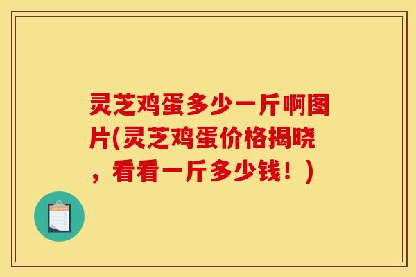 灵芝鸡蛋多少一斤啊图片(灵芝鸡蛋价格揭晓，看看一斤多少钱！)