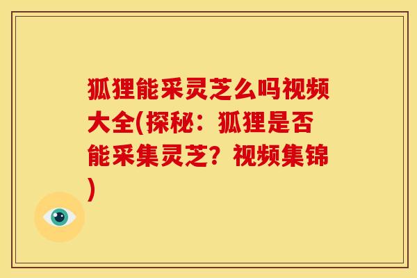 狐狸能采灵芝么吗视频大全(探秘:狐狸是否能采集灵芝?视频集锦)