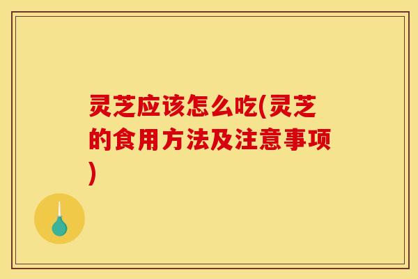 灵芝应该怎么吃(灵芝的食用方法及注意事项)