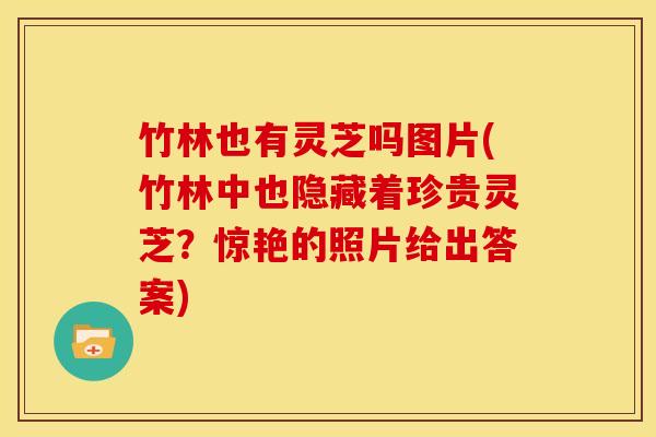 竹林也有灵芝吗图片(竹林中也隐藏着珍贵灵芝?惊艳的照片给出答案)