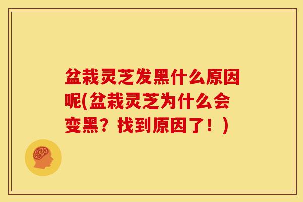 盆栽灵芝发黑什么原因呢(盆栽灵芝为什么会变黑?找到原因了!)