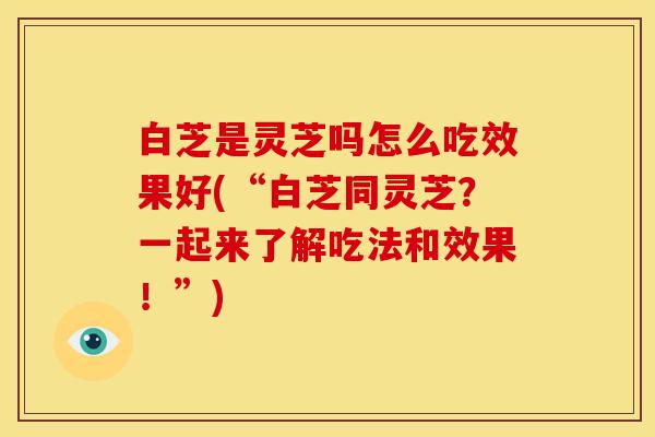 白芝是灵芝吗怎么吃效果好(“白芝同灵芝？一起来了解吃法和效果！”)