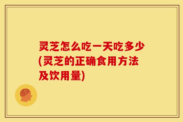 灵芝怎么吃一天吃多少(灵芝的正确食用方法及饮用量)