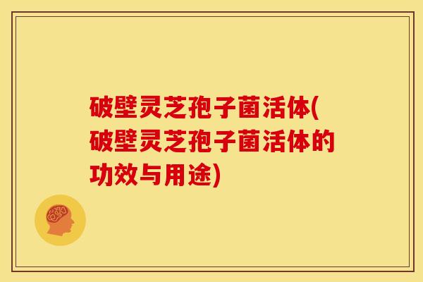 破壁灵芝孢子菌活体(破壁灵芝孢子菌活体的功效与用途)