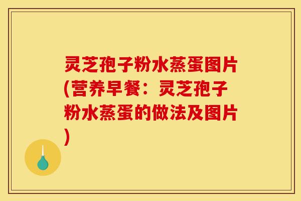 灵芝孢子粉水蒸蛋图片(营养早餐：灵芝孢子粉水蒸蛋的做法及图片)