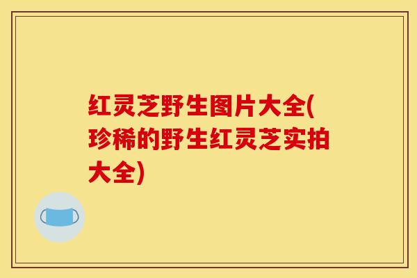 红灵芝野生图片大全(珍稀的野生红灵芝实拍大全)