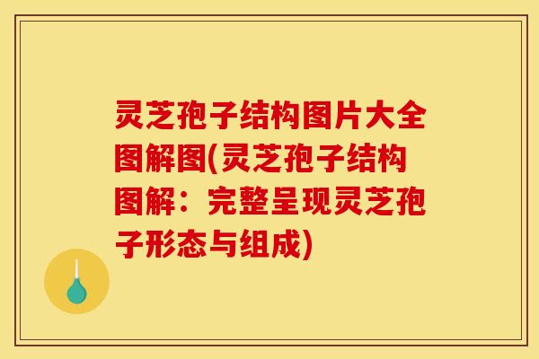 灵芝孢子结构图片大全图解图(灵芝孢子结构图解:完整呈现灵芝孢子形态与组成)