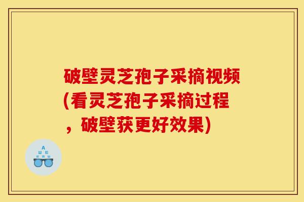 破壁灵芝孢子采摘视频(看灵芝孢子采摘过程，破壁获更好效果)