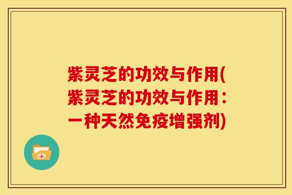 紫灵芝的功效与作用(紫灵芝的功效与作用：一种天然免疫增强剂)