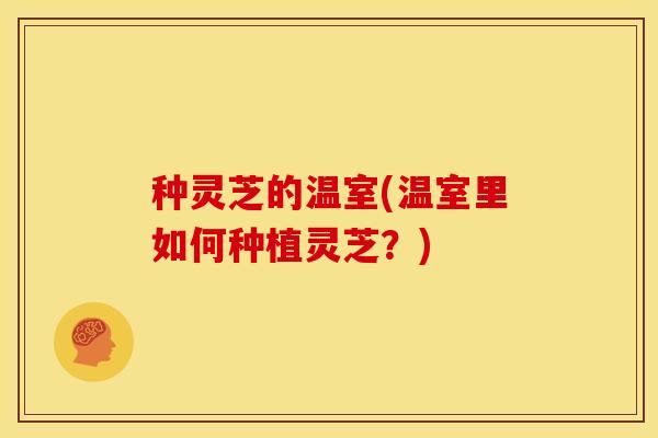 种灵芝的温室(温室里如何种植灵芝?)