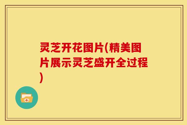 灵芝开花图片(精美图片展示灵芝盛开全过程)