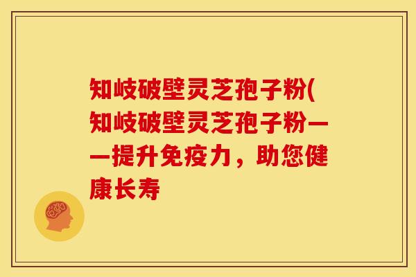 知岐破壁灵芝孢子粉(知岐破壁灵芝孢子粉——提升免疫力,助您健康长寿