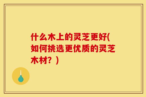 什么木上的灵芝更好(如何挑选更优质的灵芝木材?)