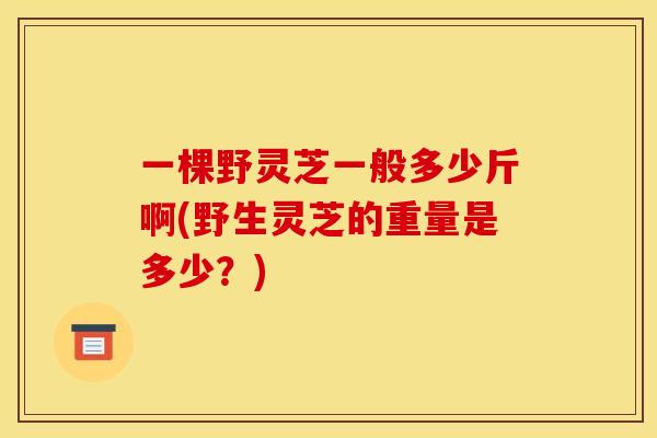 一棵野灵芝一般多少斤啊(野生灵芝的重量是多少？)