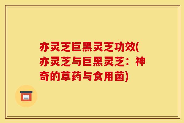 亦灵芝巨黑灵芝功效(亦灵芝与巨黑灵芝:神奇的草药与食用菌)