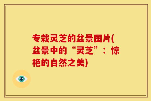 专栽灵芝的盆景图片(盆景中的“灵芝”:惊艳的自然之美)