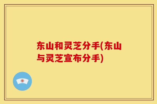 东山和灵芝分手(东山与灵芝宣布分手)
