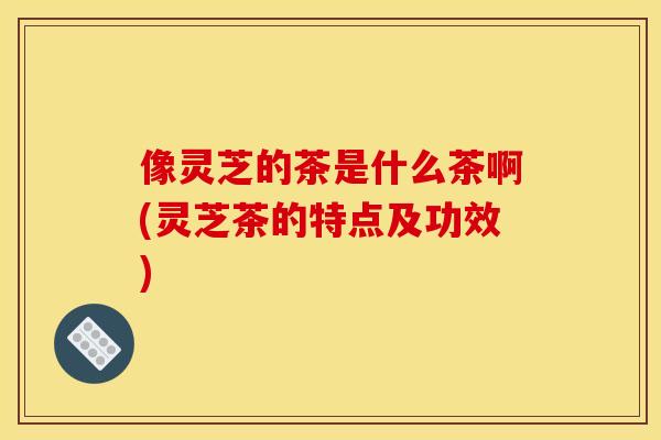 像灵芝的茶是什么茶啊(灵芝茶的特点及功效)
