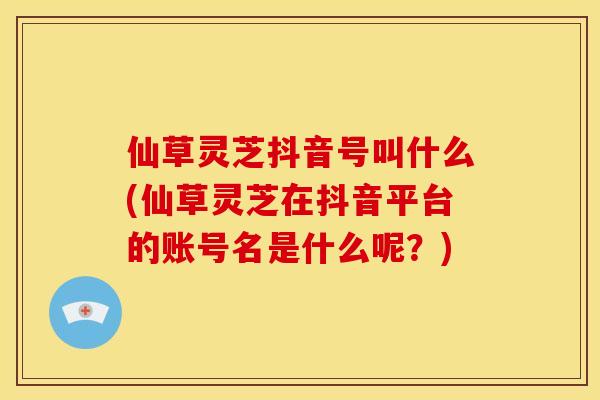 仙草灵芝抖音号叫什么(仙草灵芝在抖音平台的账号名是什么呢?)