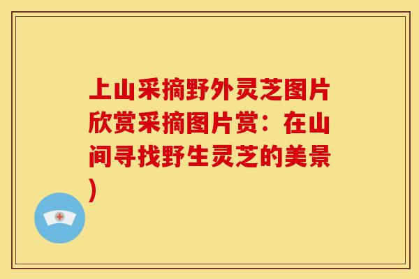 上山采摘野外灵芝图片欣赏采摘图片赏：在山间寻找野生灵芝的美景)
