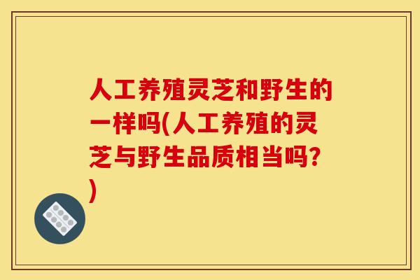 人工养殖灵芝和野生的一样吗(人工养殖的灵芝与野生品质相当吗？)