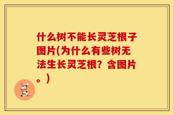 什么树不能长灵芝根子图片(为什么有些树无法生长灵芝根?含图片。)