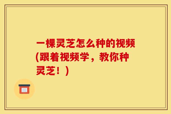 一棵灵芝怎么种的视频(跟着视频学，教你种灵芝！)