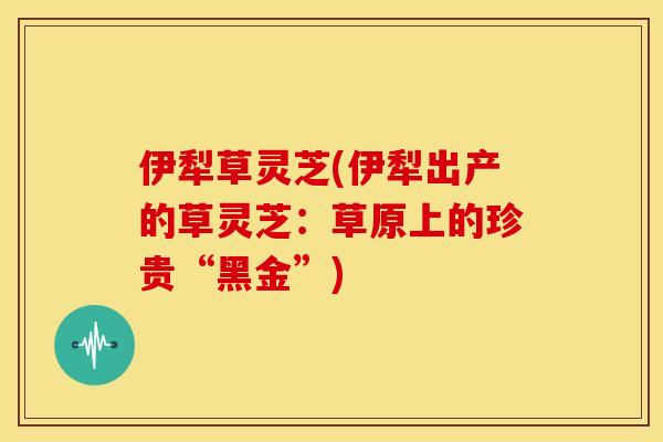 伊犁草灵芝(伊犁出产的草灵芝:草原上的珍贵“黑金”)